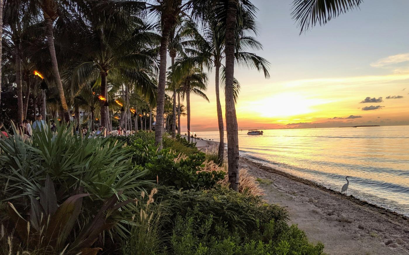 palm trees by Mark Male courtesy of Unsplash.