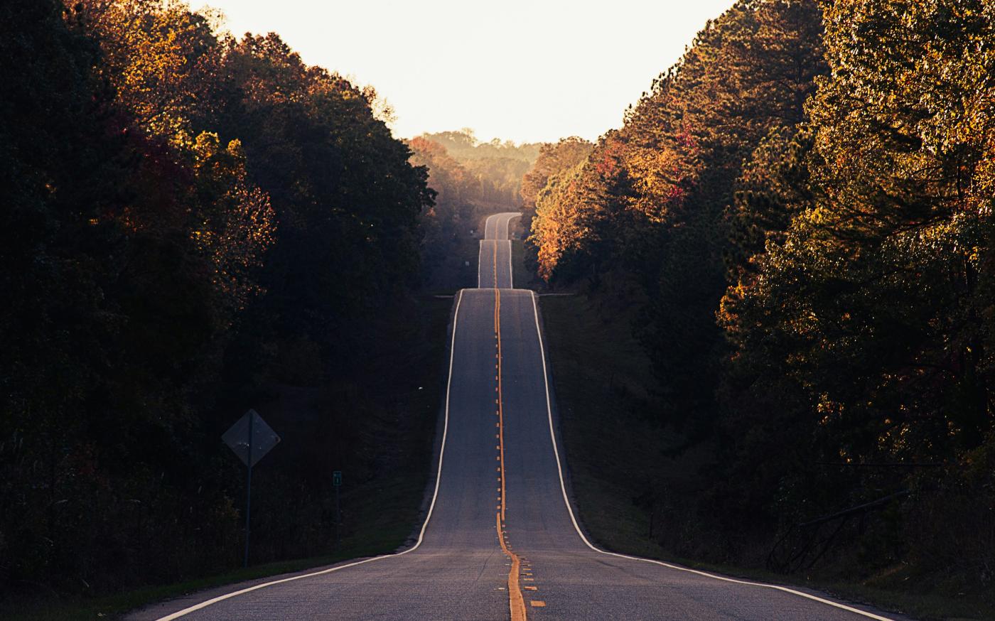 asphalt road between trees by Matt Foxx courtesy of Unsplash.