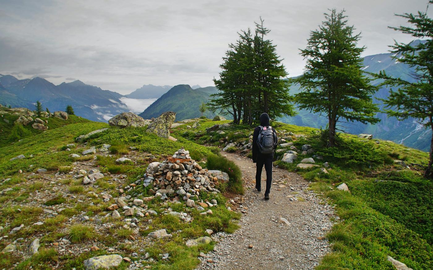 person wearing black leather backpack walking beside green leaf tree by Nicolas Cool courtesy of Unsplash.