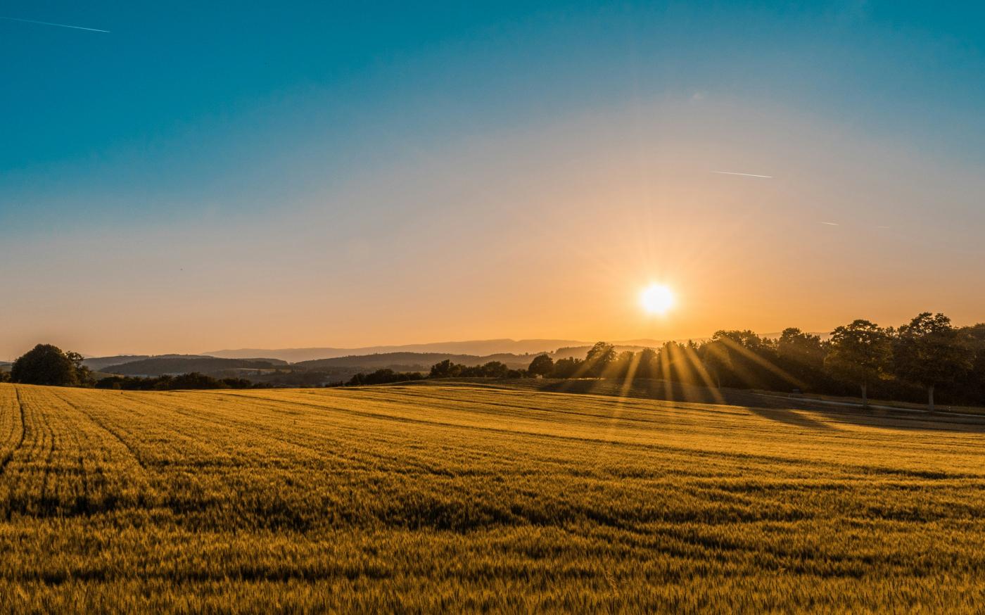 brown field near tree during daytime by Federico Respini courtesy of Unsplash.