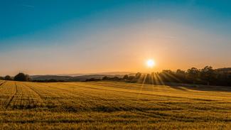 brown field near tree during daytime by Federico Respini courtesy of Unsplash.