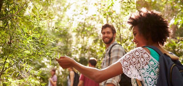 Individuals Enjoying the Nature